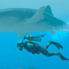Endless Ocean Luminous si mostra in 5 minuti di trailer