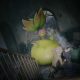 Leggende Pokémon: Z-A – Svelata la Megaevoluzione di Victreebel