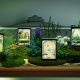 GCC Pokémon Pocket: in arrivo una mostra temporanea a Roma