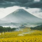 Ghost of Yōtei: il nuovo trailer ci mostra i paesaggi del Giappone