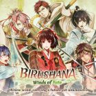 Birushana: Winds of Fate è disponibile su Switch