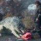 DRAGON’S DOGMA II: Dark Arisen si mostra in un nuovo gameplay