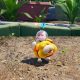 Pikmin 4 – Nintendo Switch 2 Edition + Accademia Dandori in arrivo a novembre
