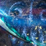FINAL FANTASY XIV: EVERCOLD – La data di uscita, un nuovo Job e tante altre novità